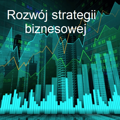 GrafFIN - Rozwój strategii biznesowej